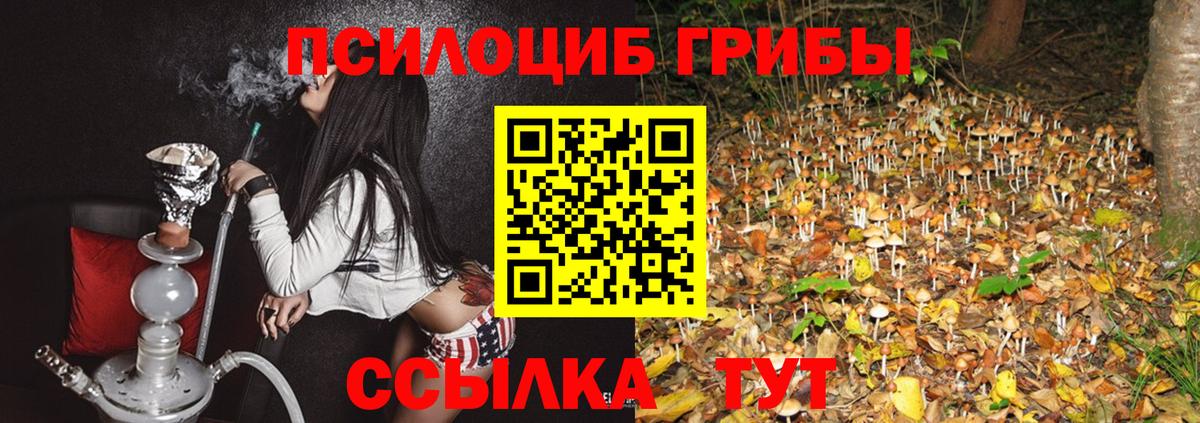 Псилоцибиновые грибы Magic Shrooms  Псилоцибиновые грибы Cubensis  магазин  наркотиков  Вход с VPN  Кинель 