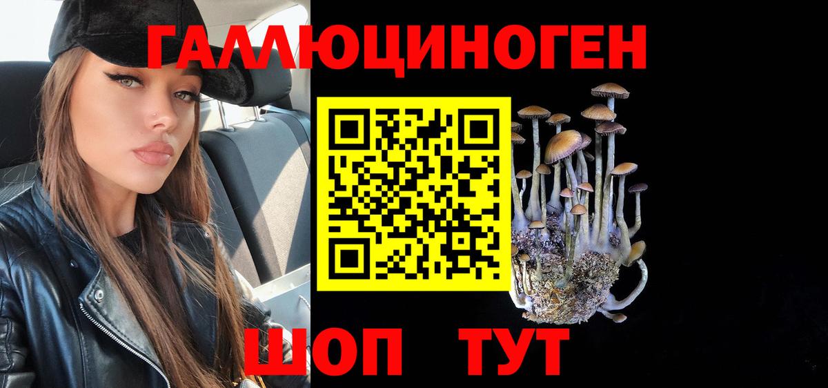 Псилоцибиновые грибы Psilocybe Кинель